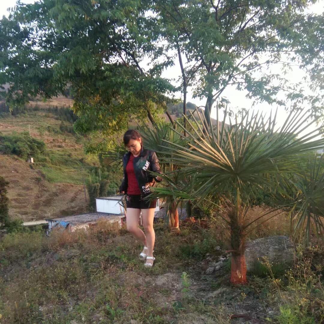 汤九妹，旧城浪漫满屋花艺