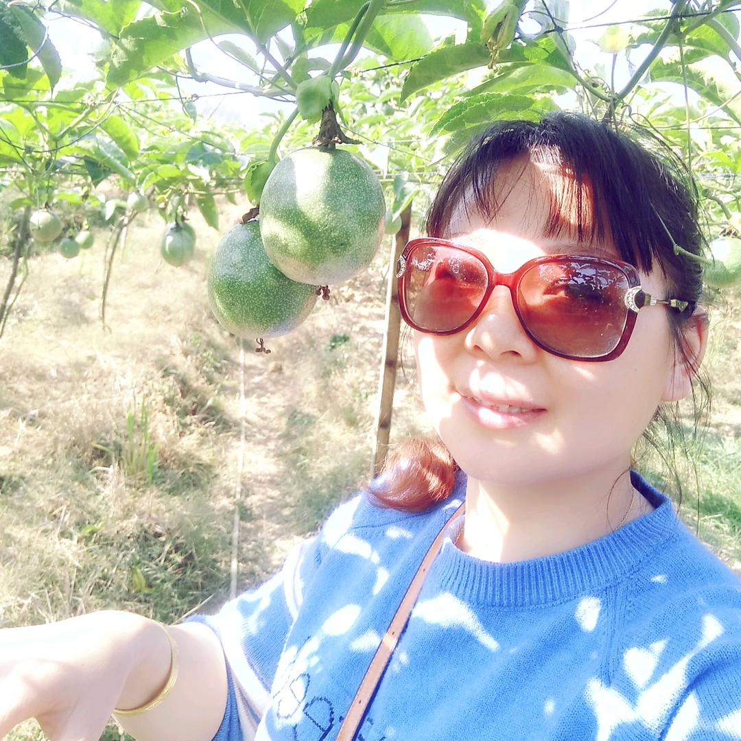 绿叶水果 永恒