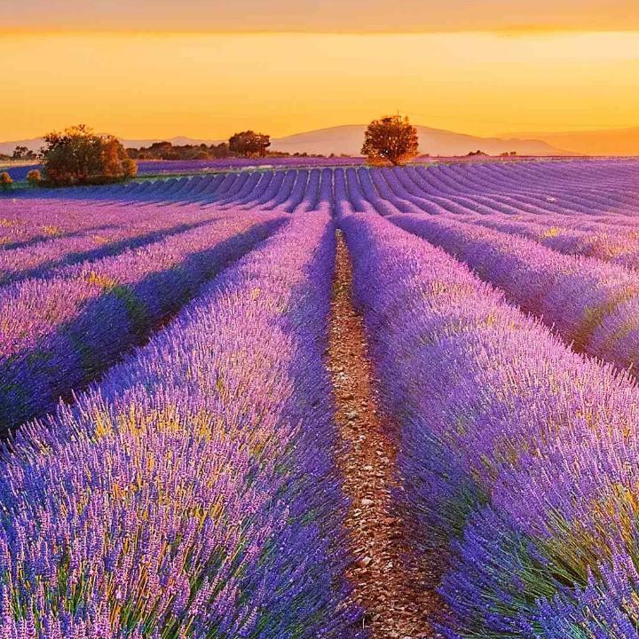 皮蛋瘦肉粥（暖暖互关啊）