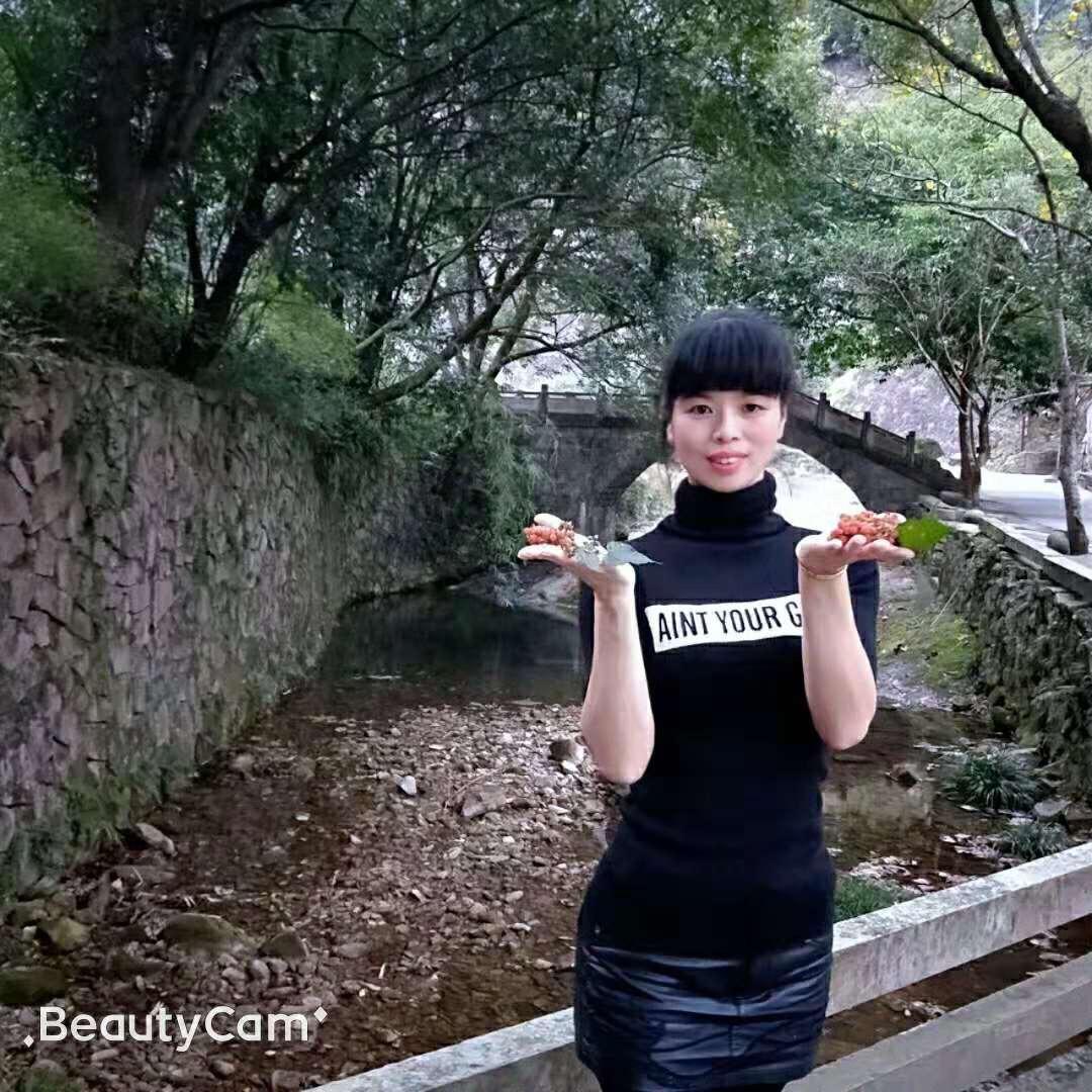 浙仙飞舞