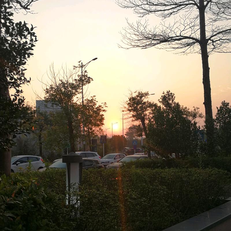古往金来