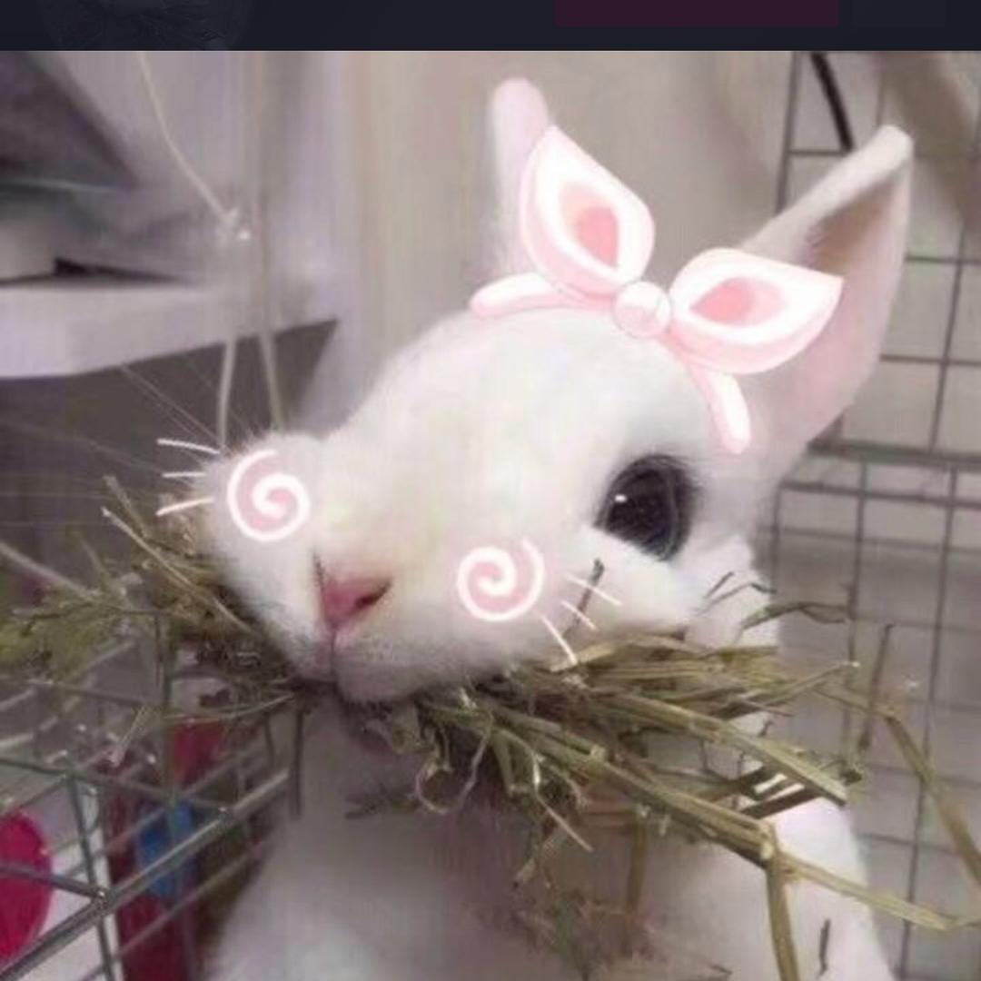小心眼🌸