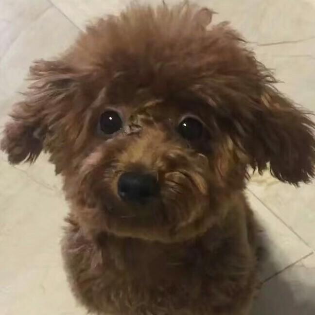 心梦