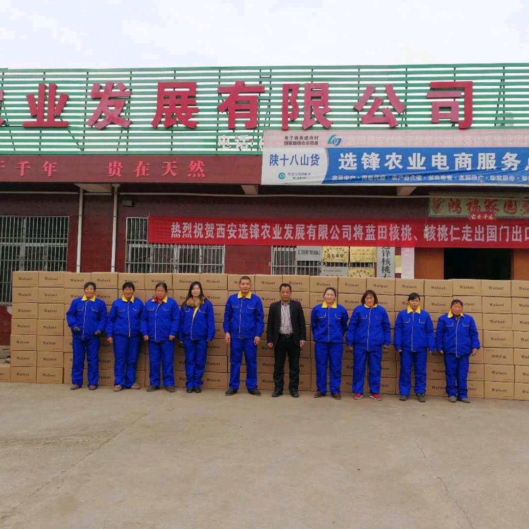陕西核桃哥