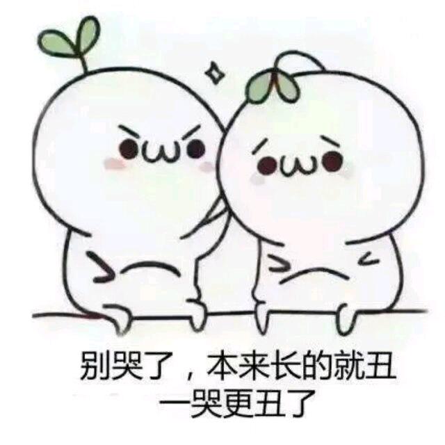 紫韵