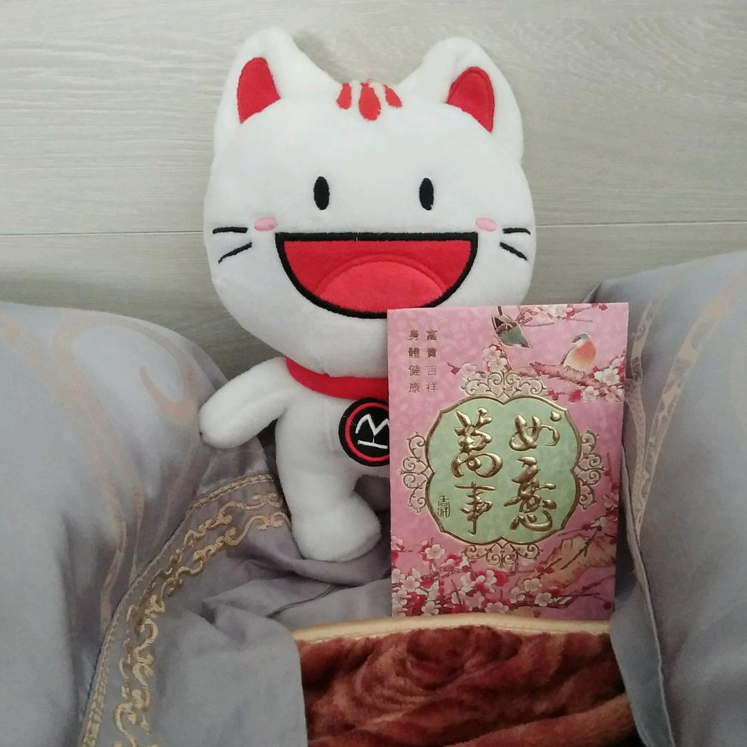 太阳☀下的叶子