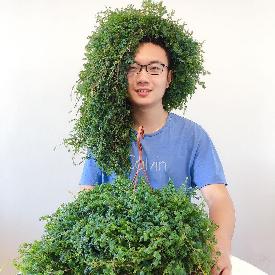 taianduorouw
