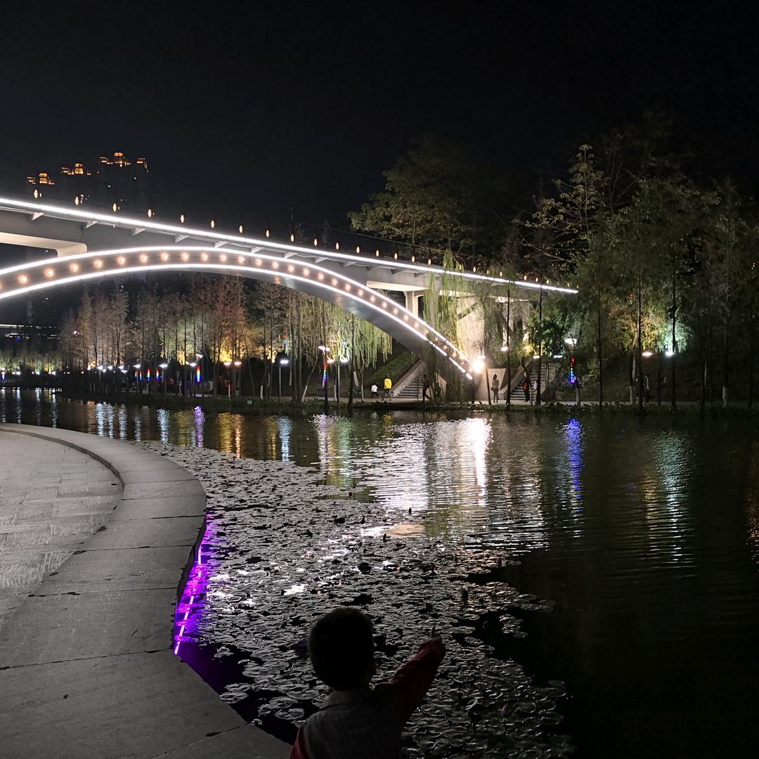 🌄晴空万李🌅