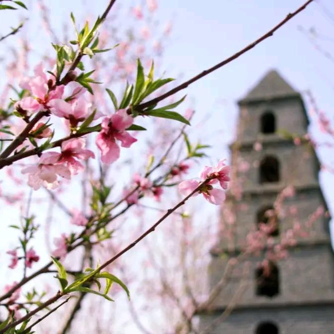 阿柒