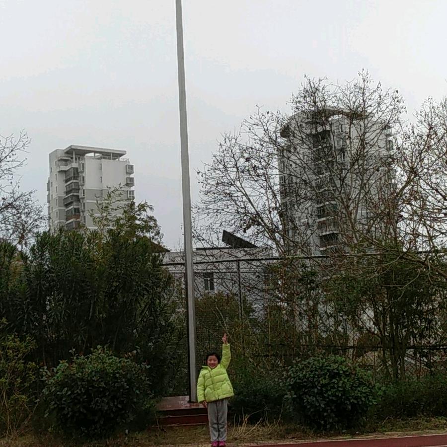 智者同行