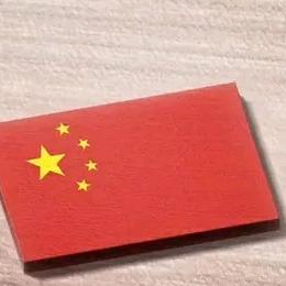 荒🇨🇳🇨🇳🇨🇳☣️