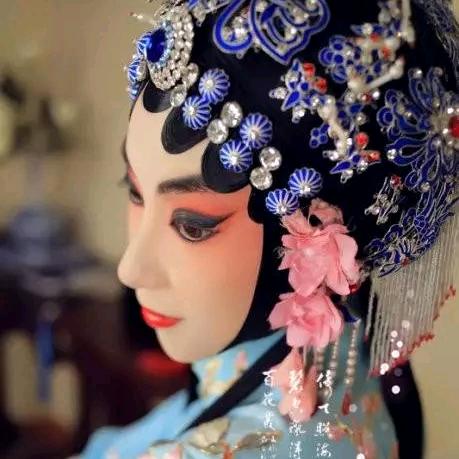 杨杨