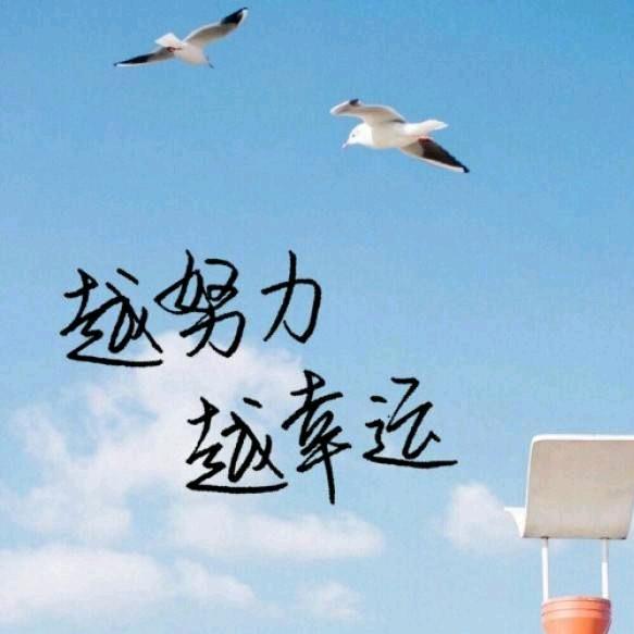 七零后   橱窗有好物