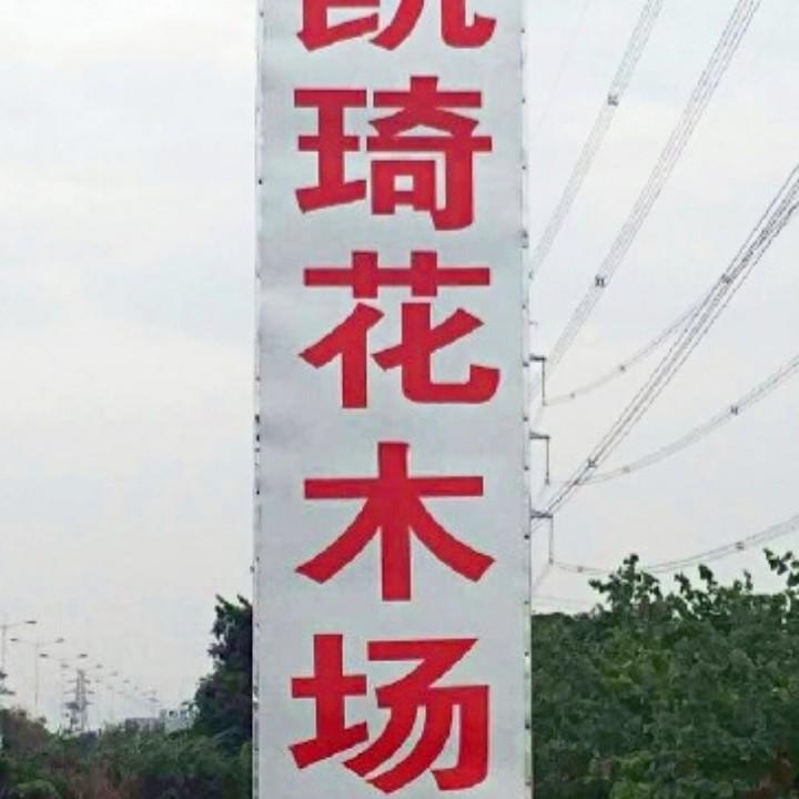 中山市凯琦花木场