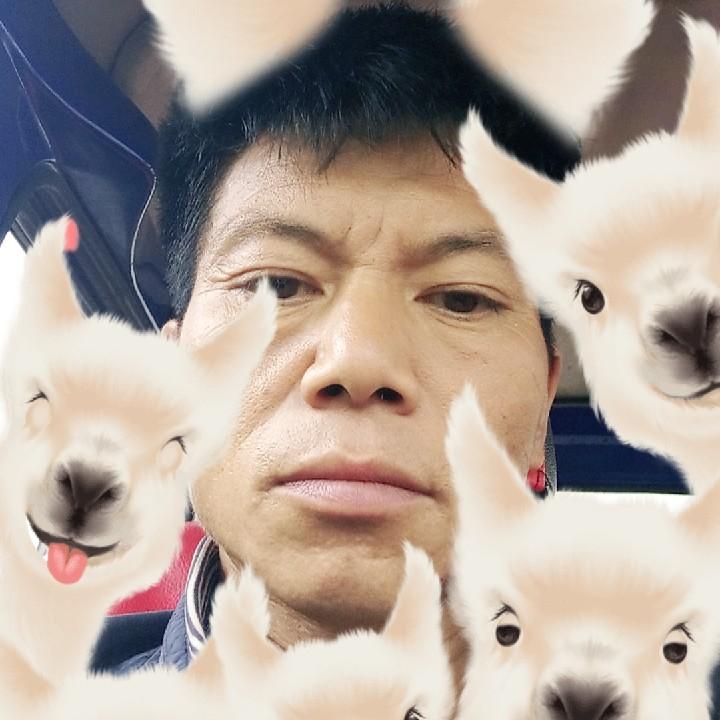 专业农业小型收割机小型拖拉机耕地