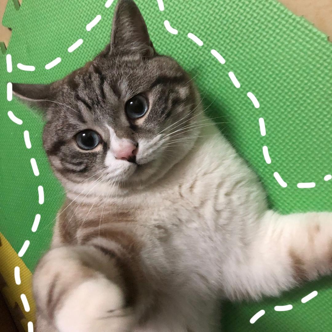 鸡蛋爸比