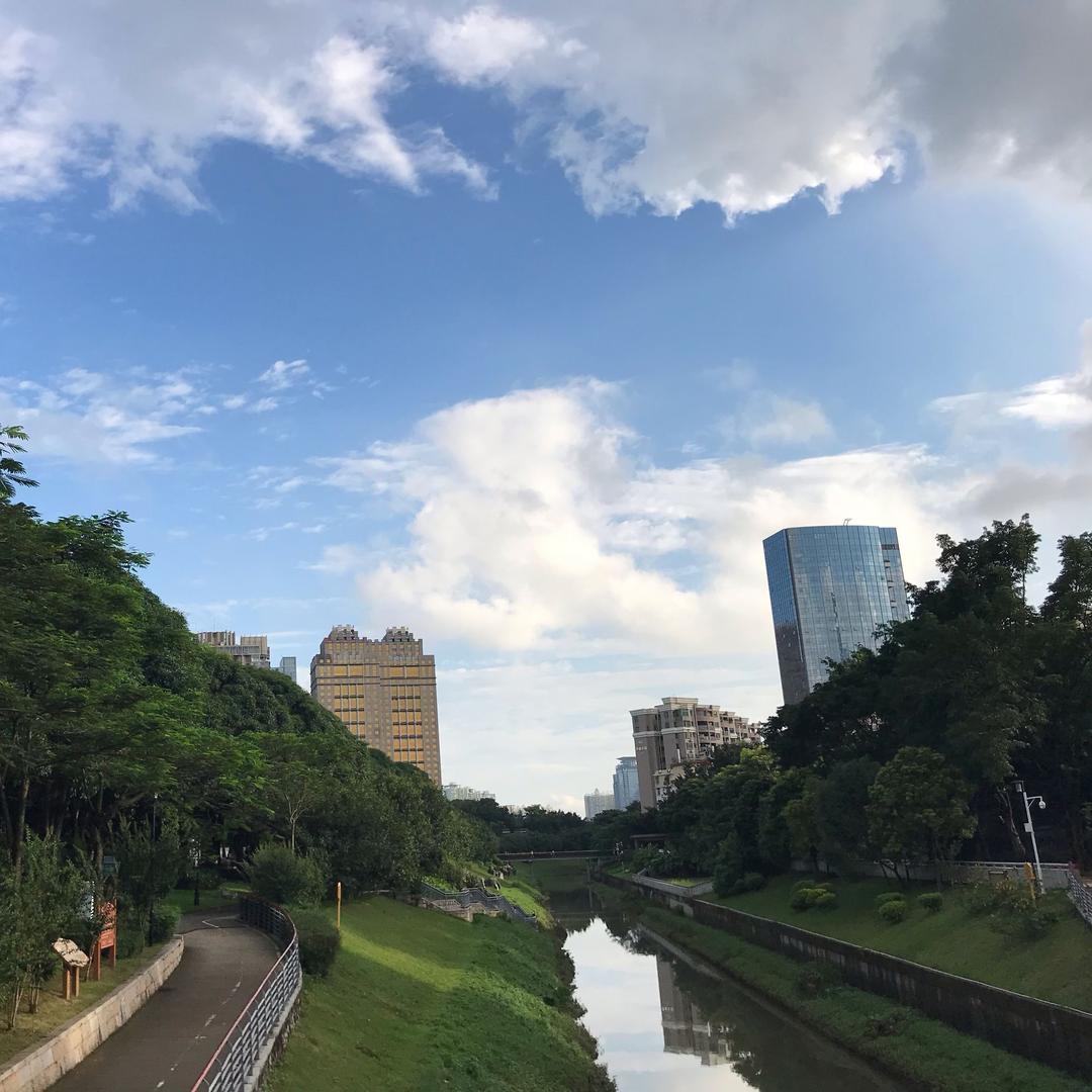 一生磨一镜