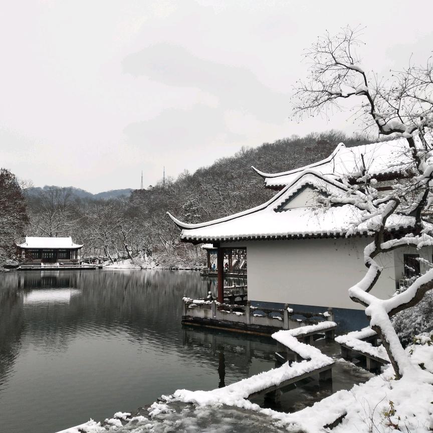 皖怀狂客