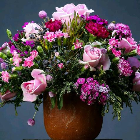 岁月不可回头🎉🎉ヾ(｡｀Д´｡)ﾉʚ