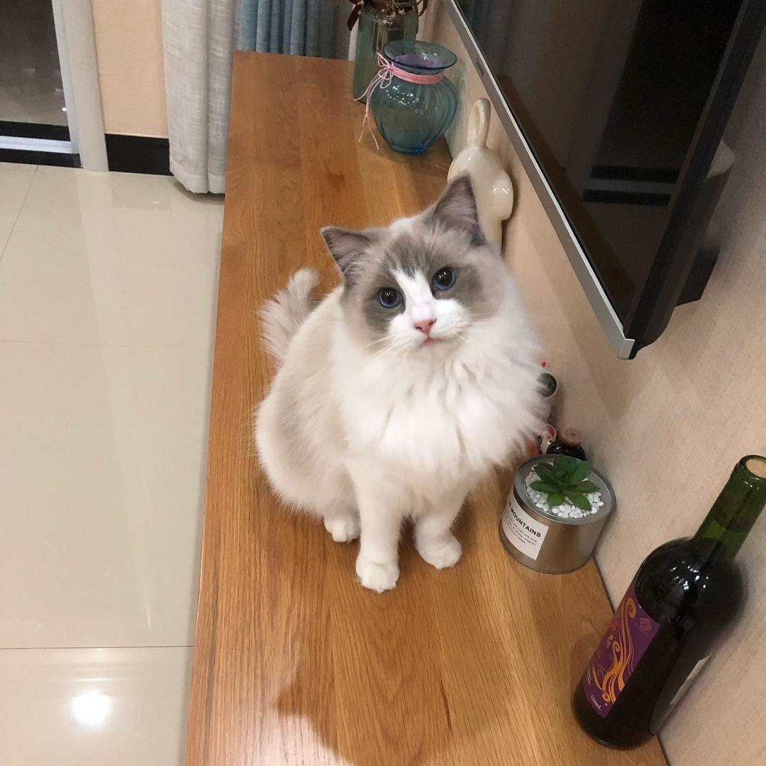 薰小熙