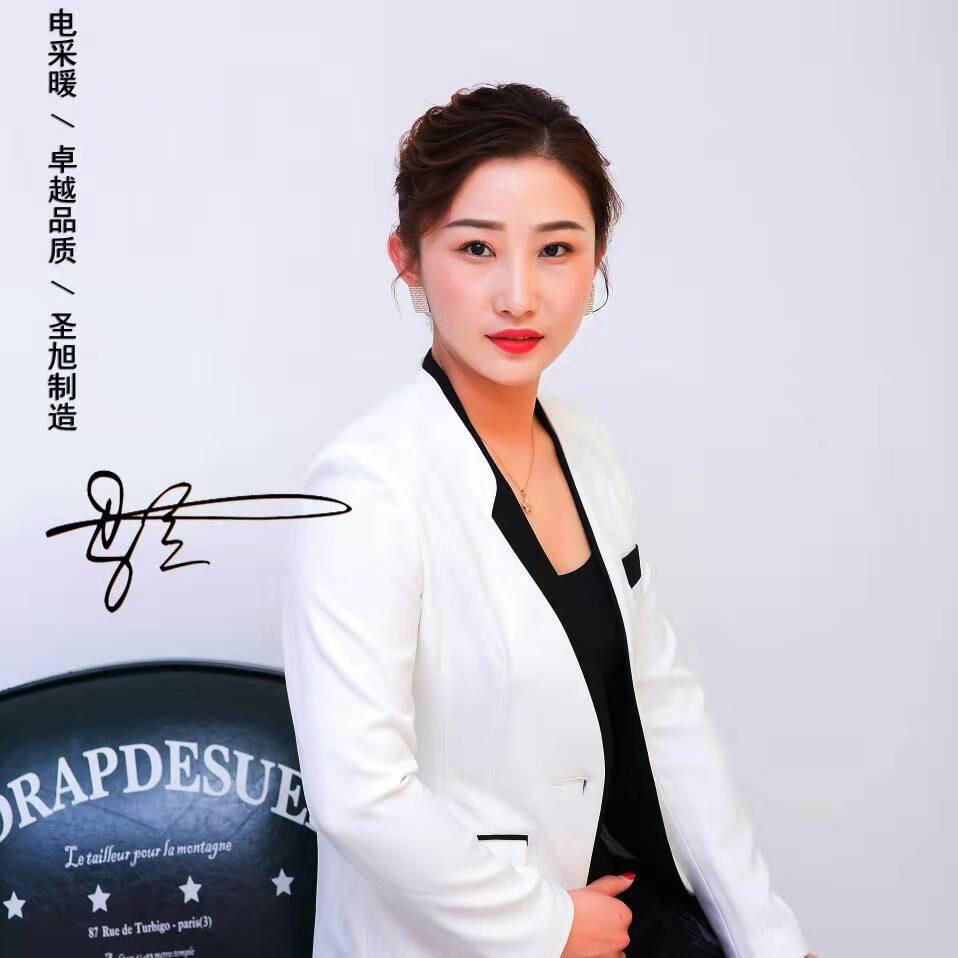 圣旭 电锅炉 电采暖