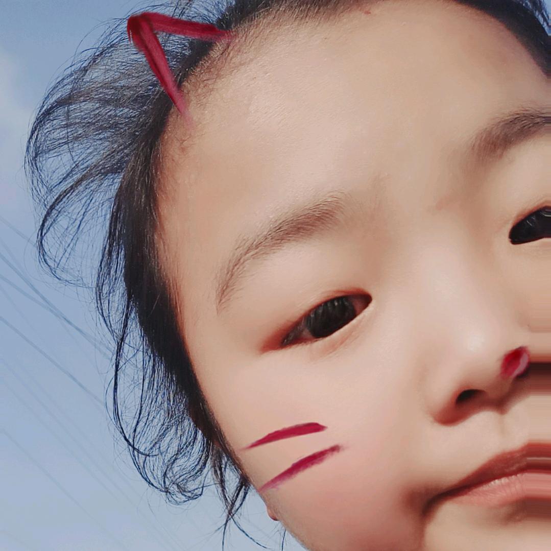 艾菲尔上的铁塔梦👑