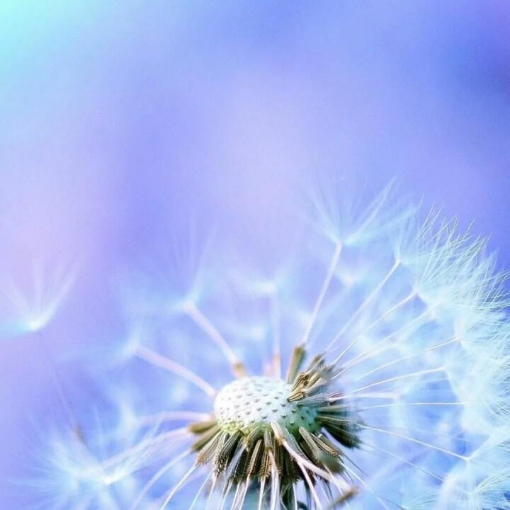 墨鉴灵梅泉