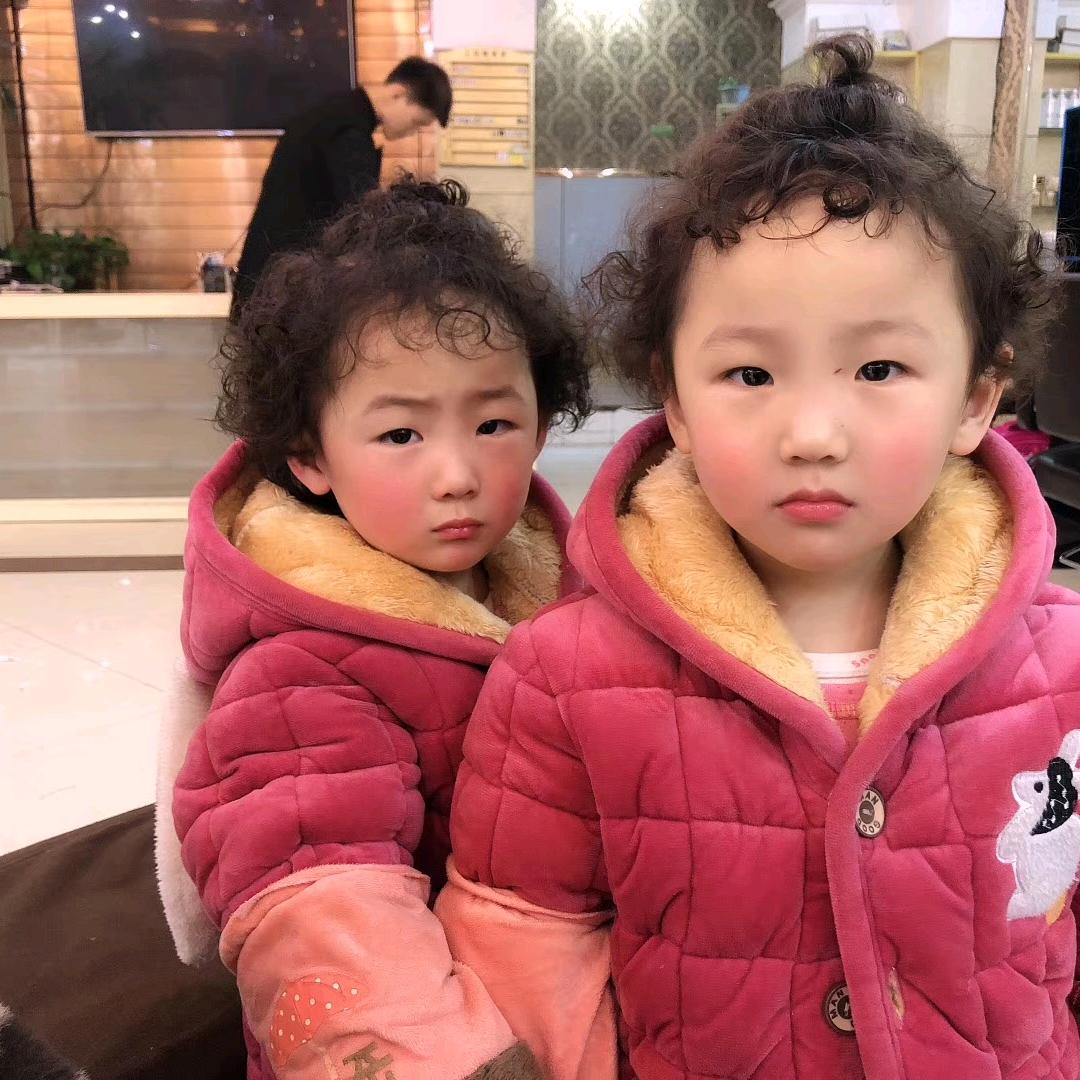 龙