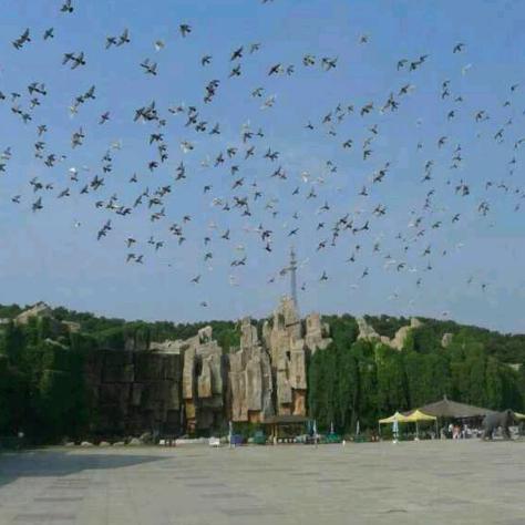 沈阳.轮胎.电瓶.热补24h服务