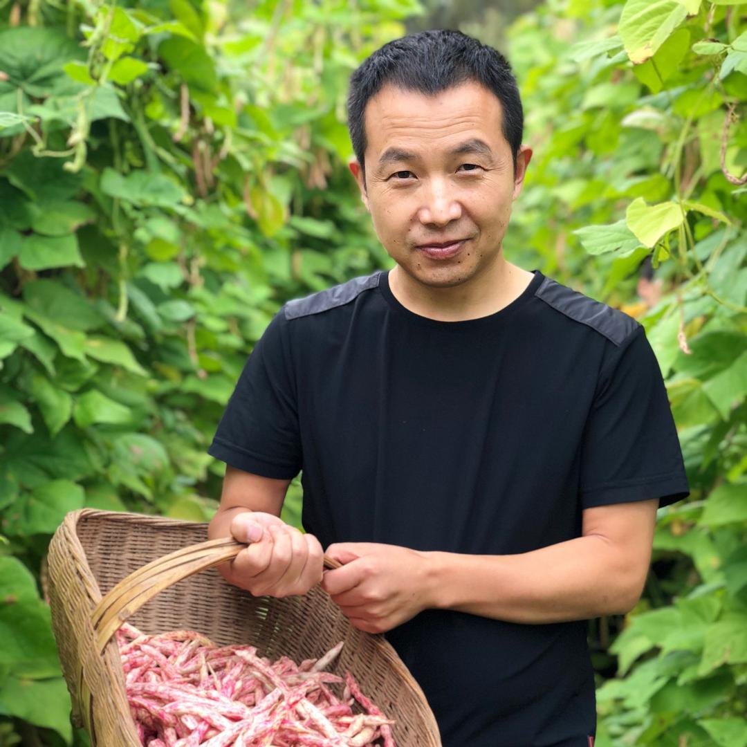 宜昌市德高种业