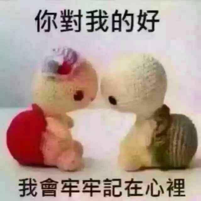 我在北桥等你