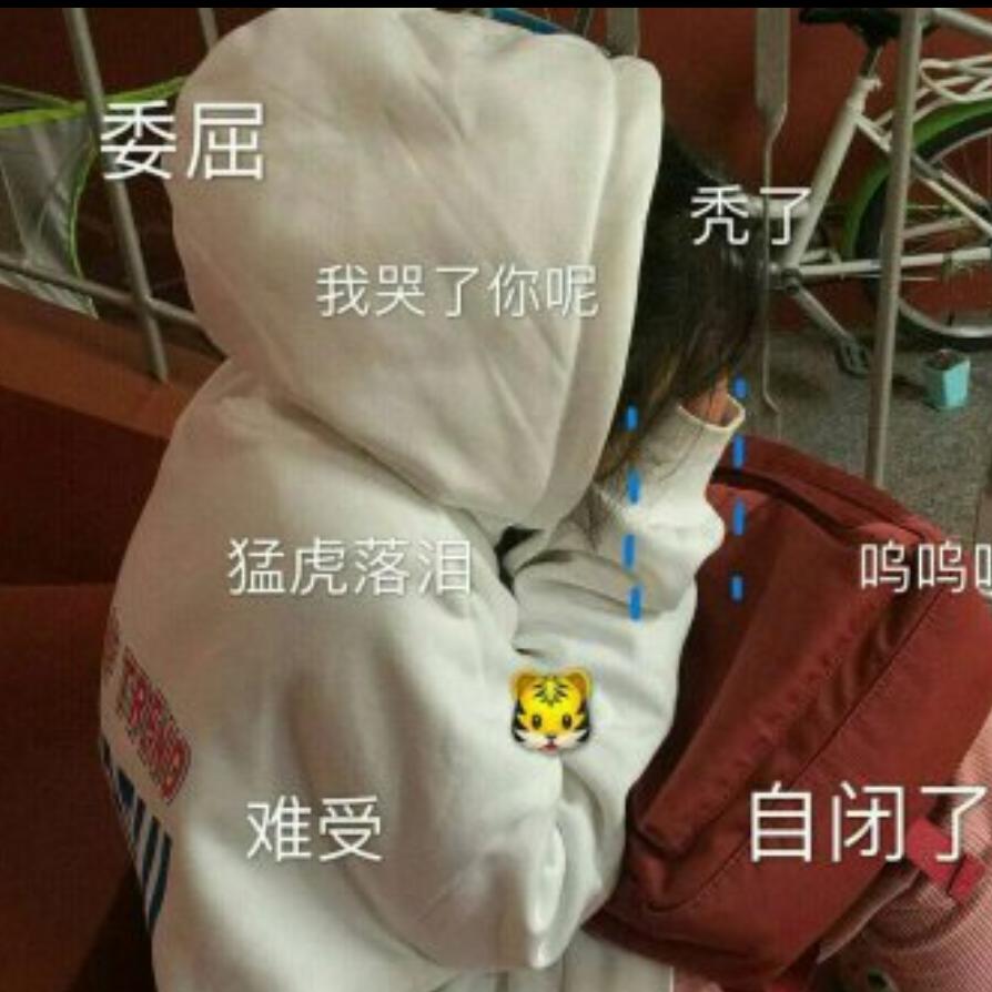 少年﹌轻狂