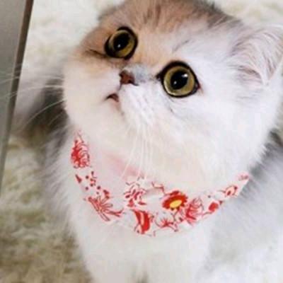 用户9613261777147