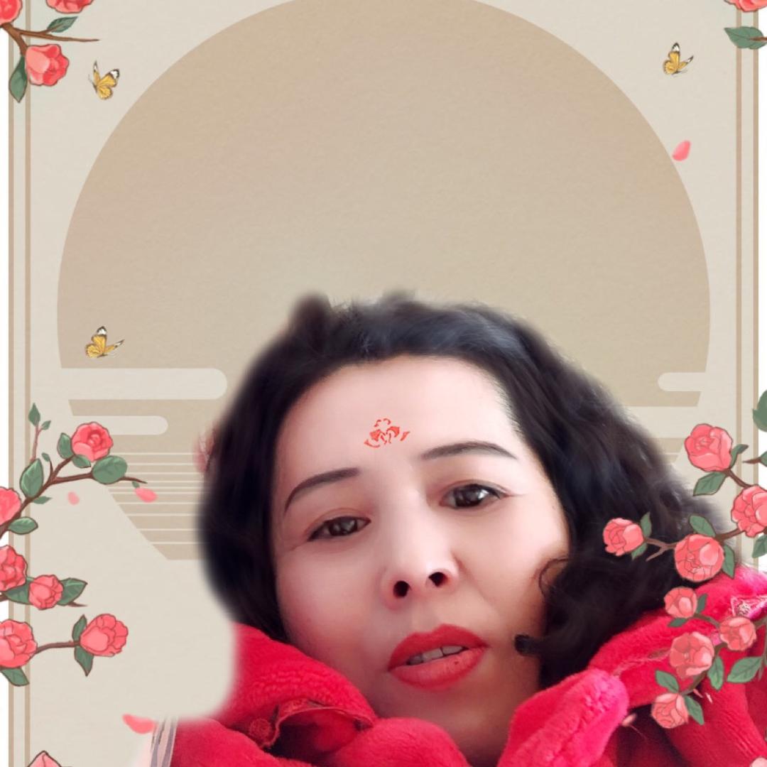 真情华儿