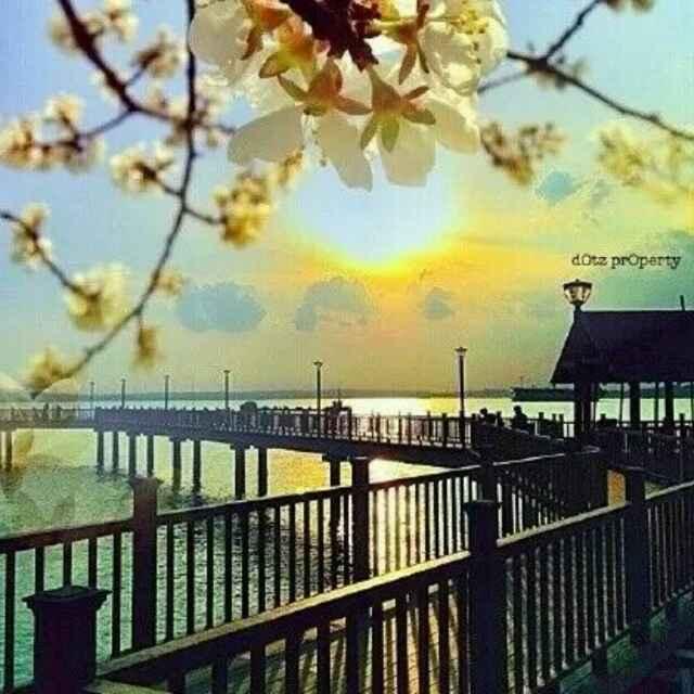 恍然如梦🌴️🌴️