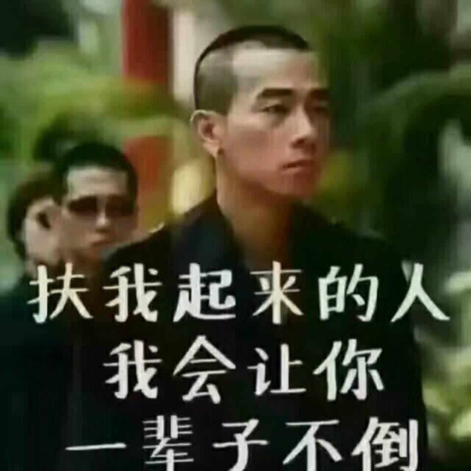 相逢何必曾相识