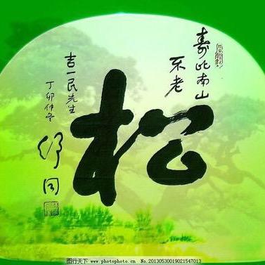 不老松