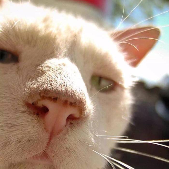 心的二分之一