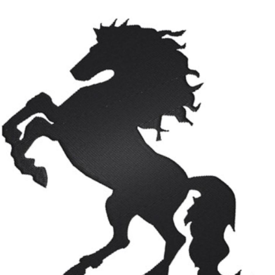 小马在德国@抖音