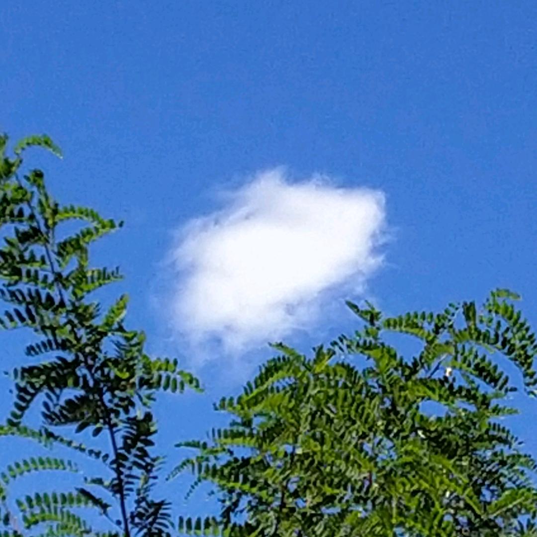 量子膜清沐车饰店