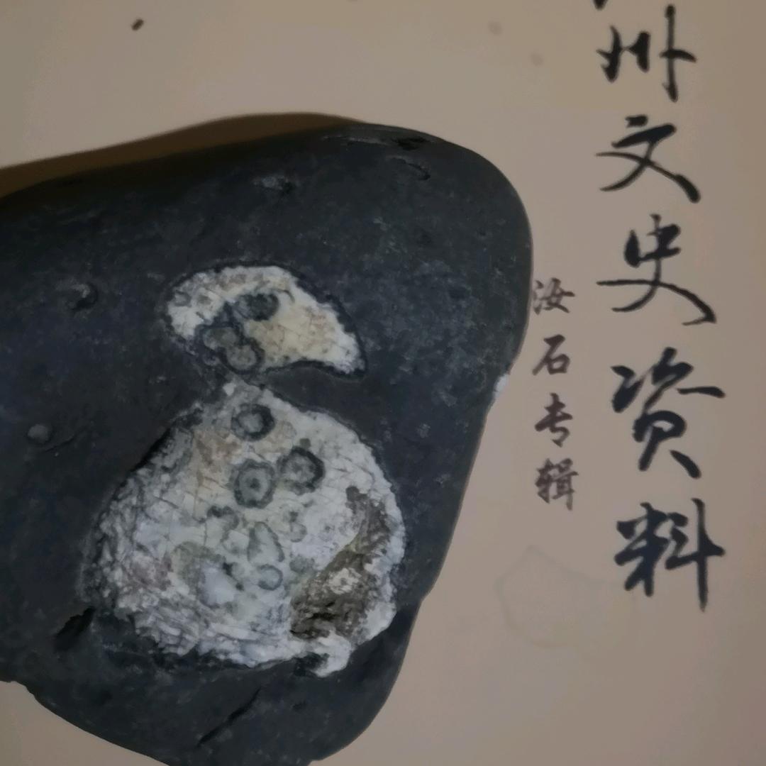 随缘阁