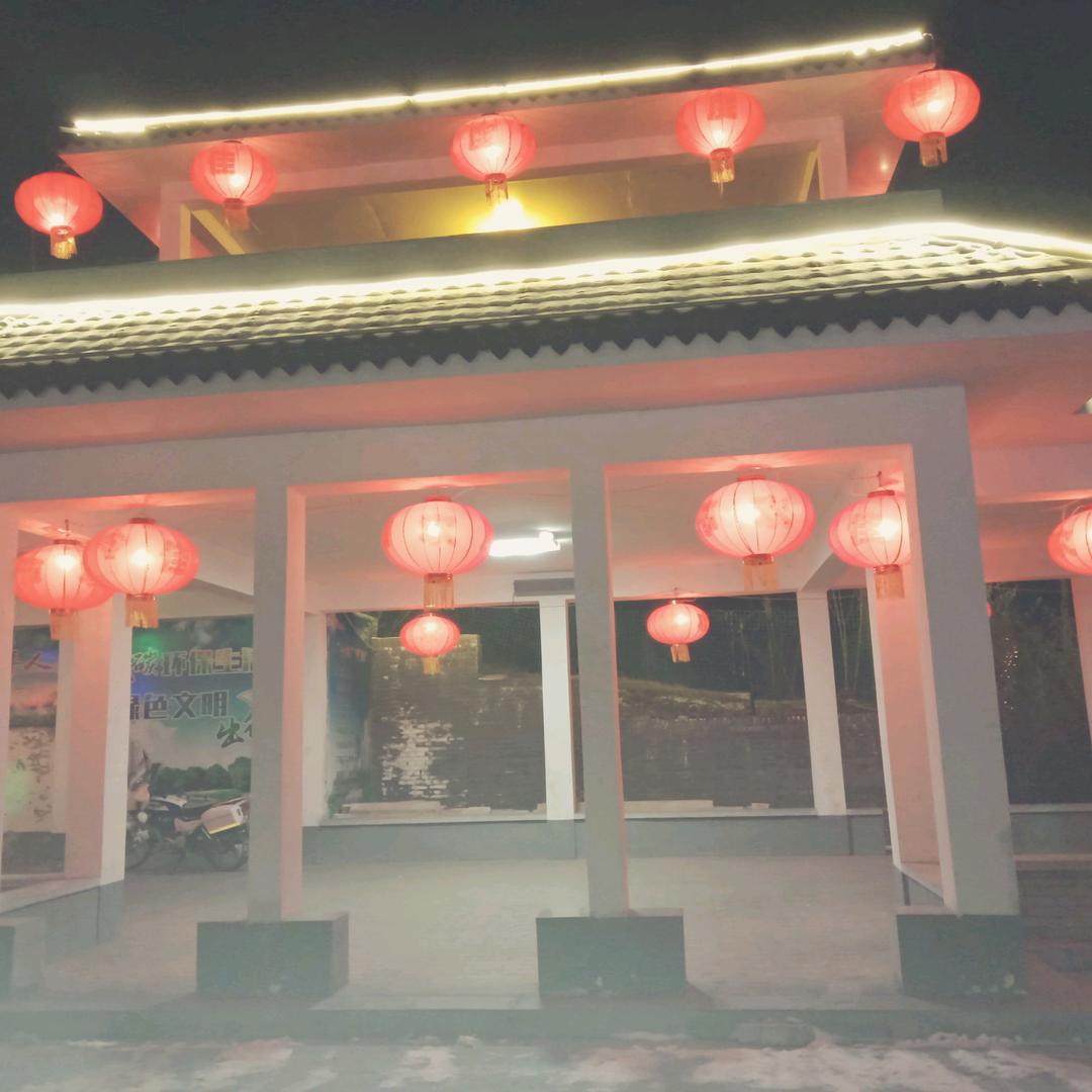 林木