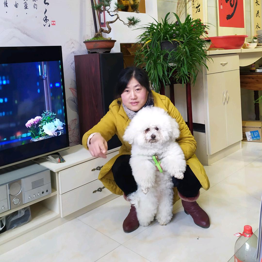 皮皮虾