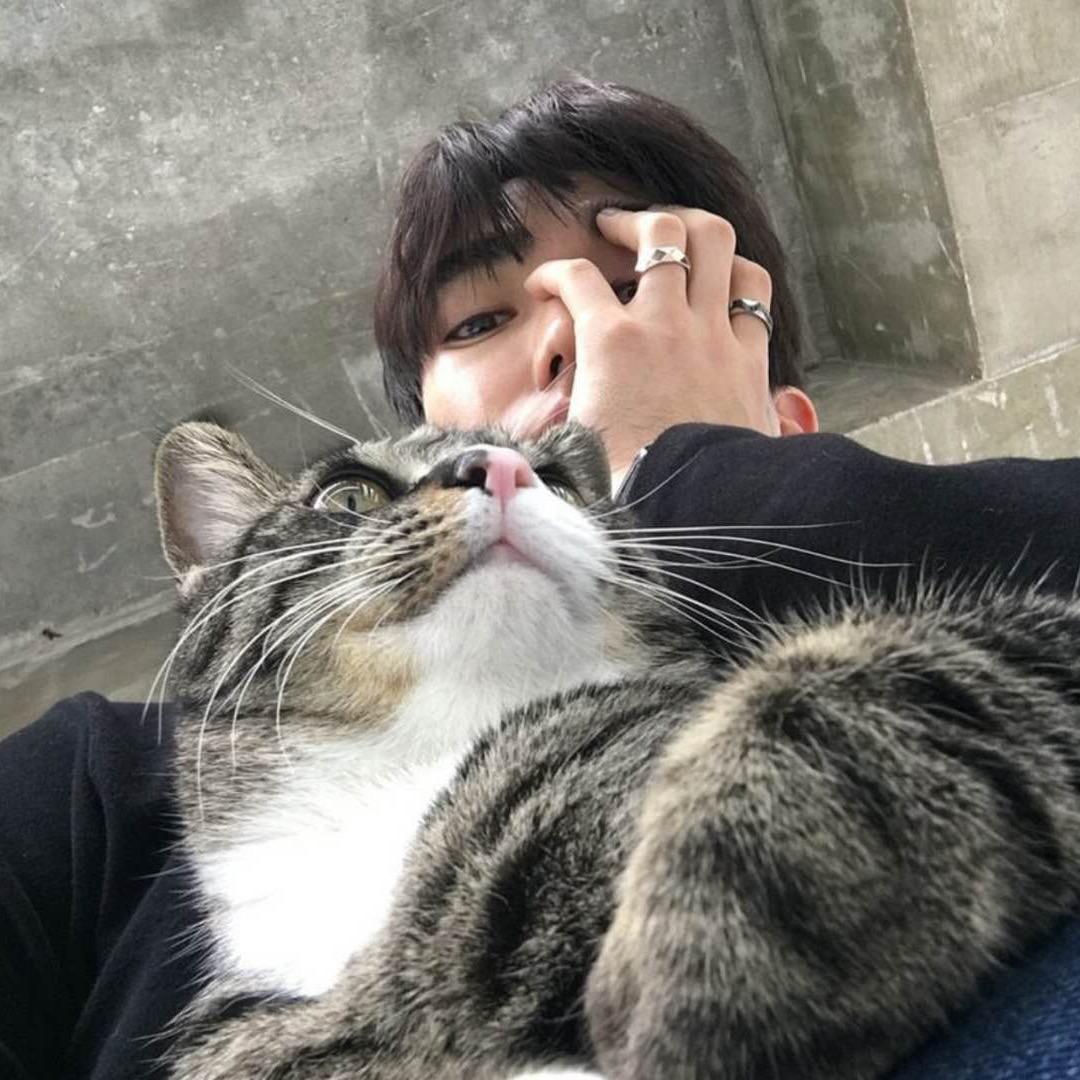 风抱只猪