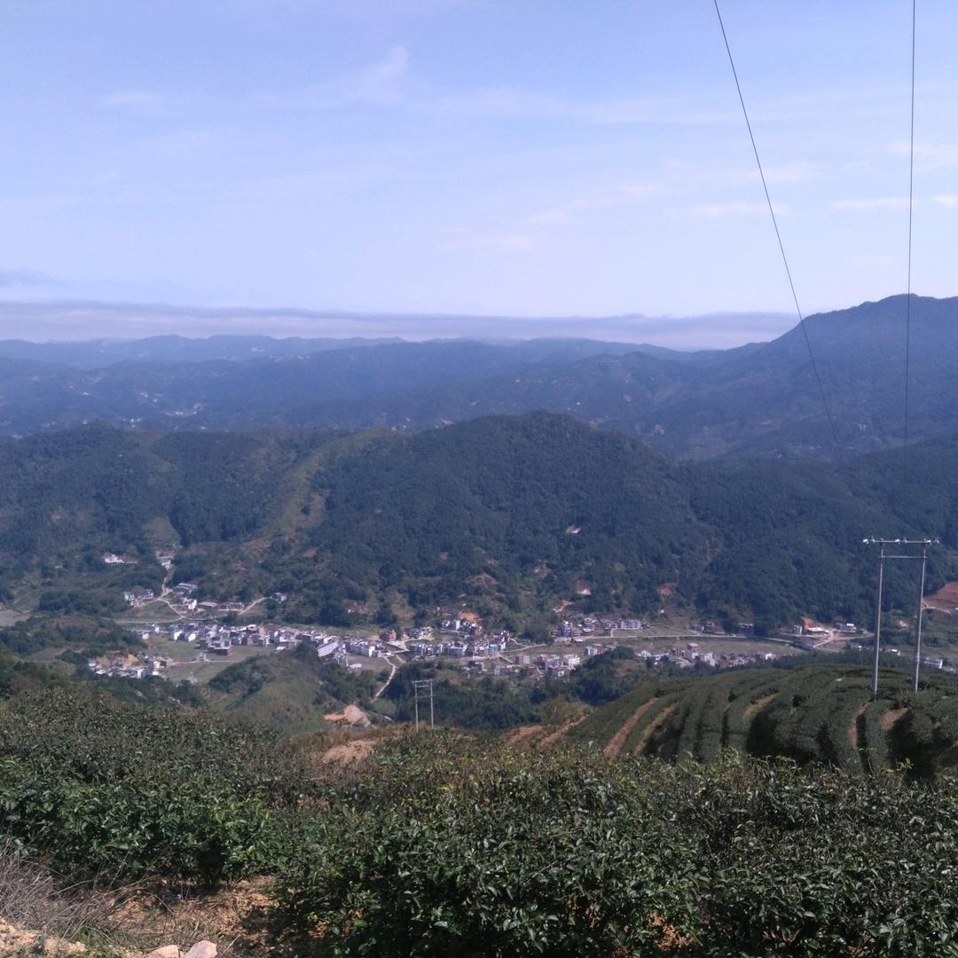 高山流水