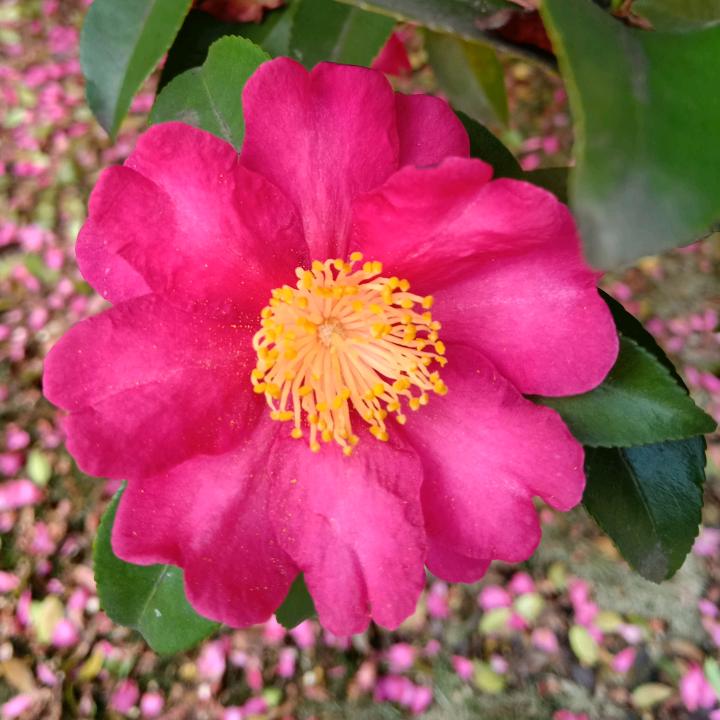 @开心快乐每一天