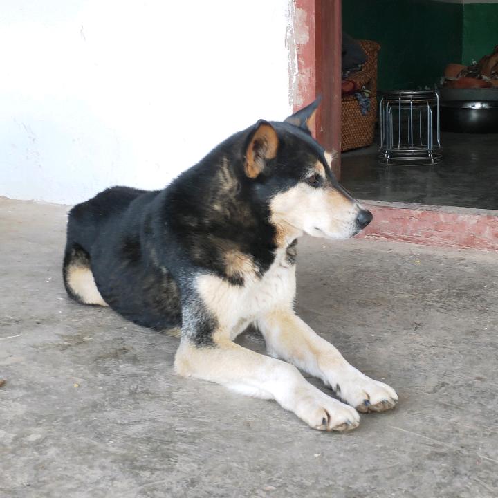 🍀涬福Nσ  Stσp🍀