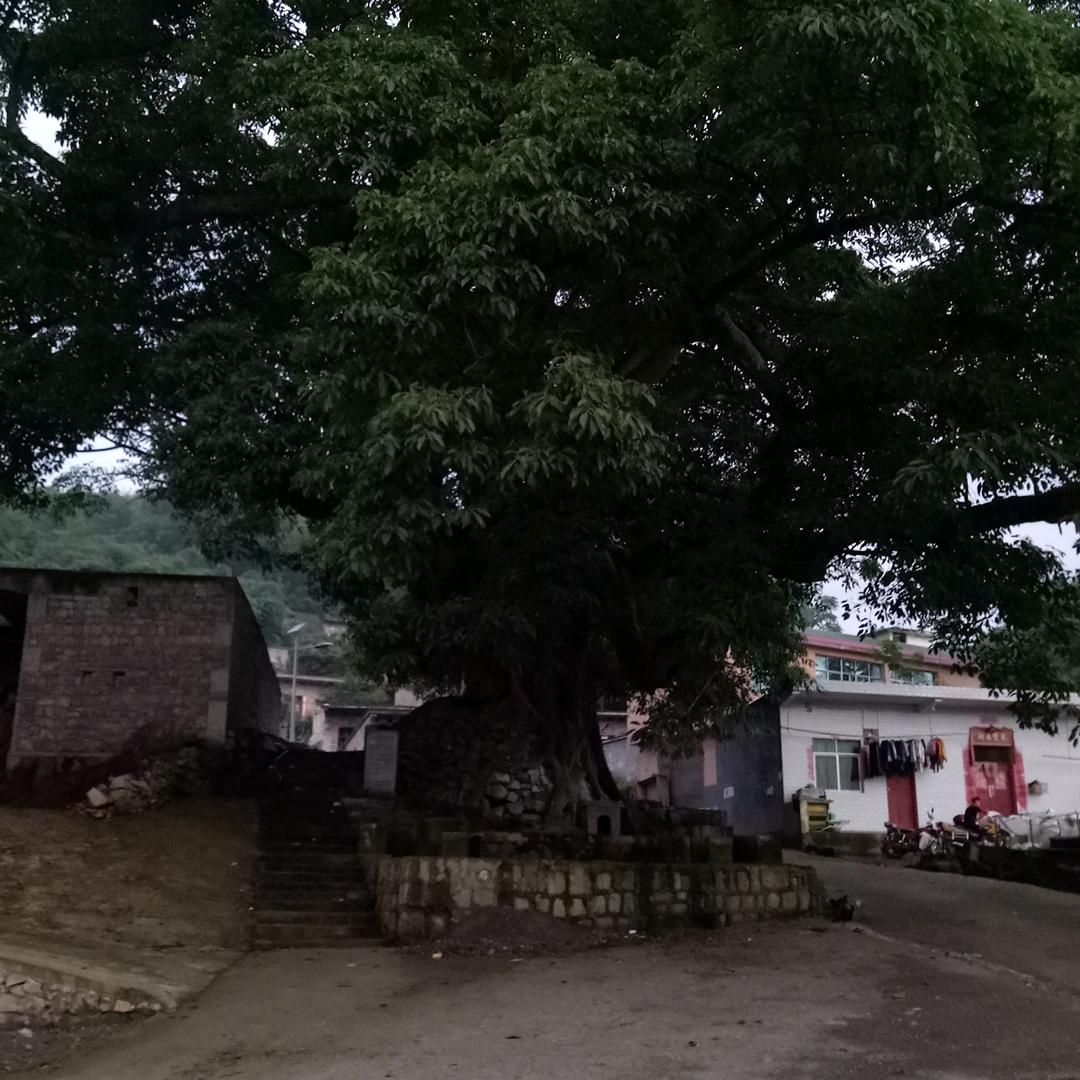 用户6045090071577