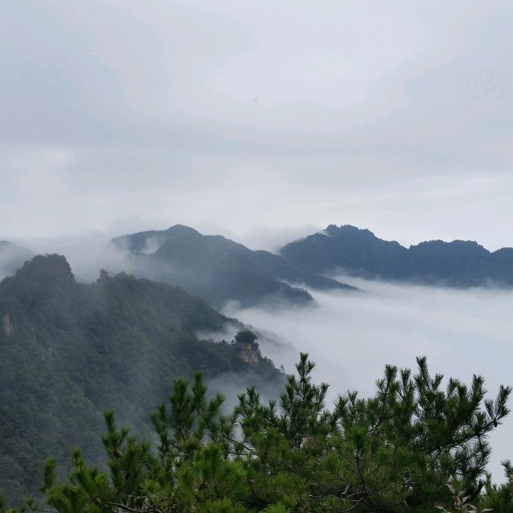 后知后觉