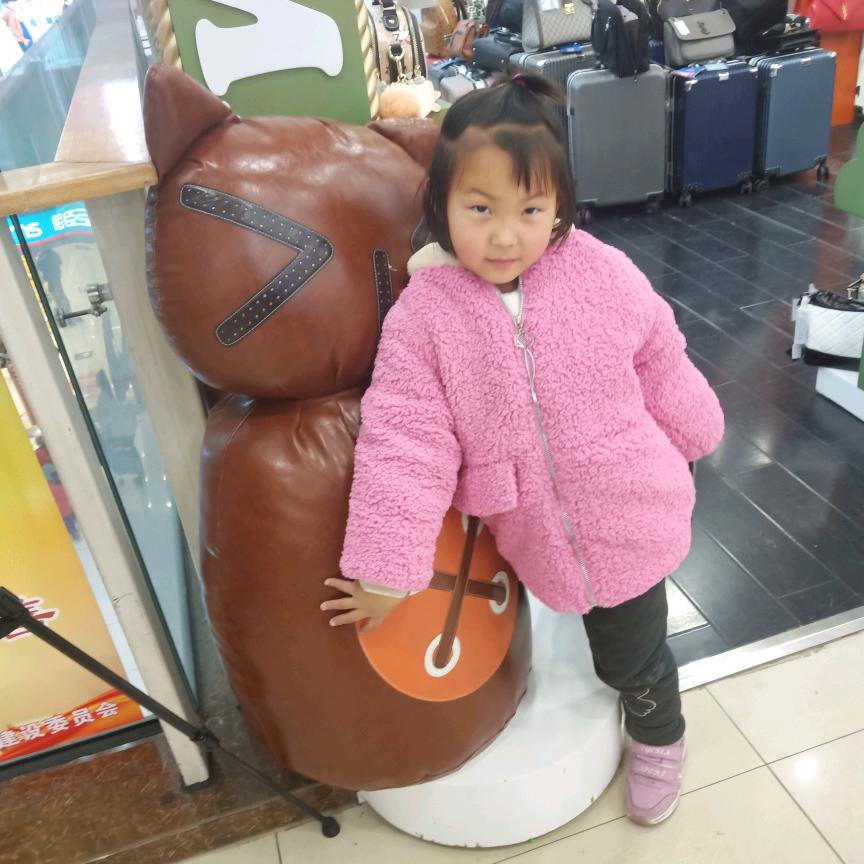 定州苗木基地